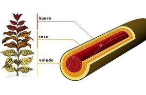 Ligero-Seco-Volado